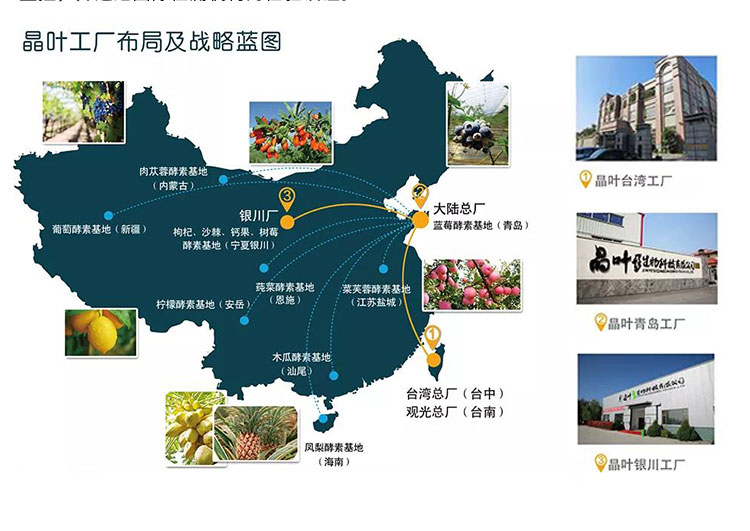 晶叶生技_02.jpg